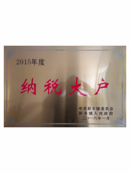 2015年度納稅大戶